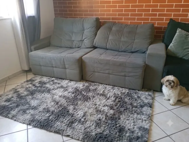 Sogra refrati  grande  vai com o tapete 