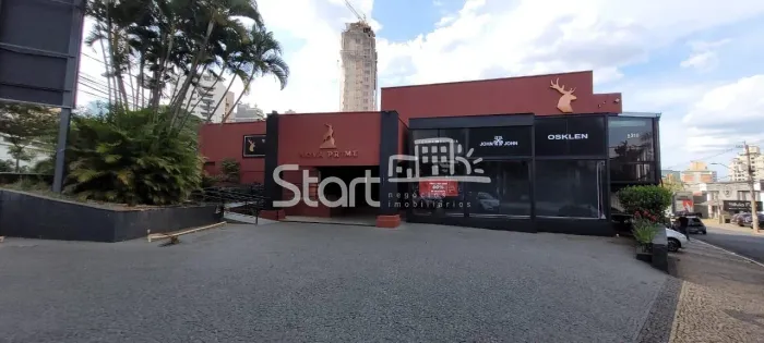 casa - Cambuí - Campinas