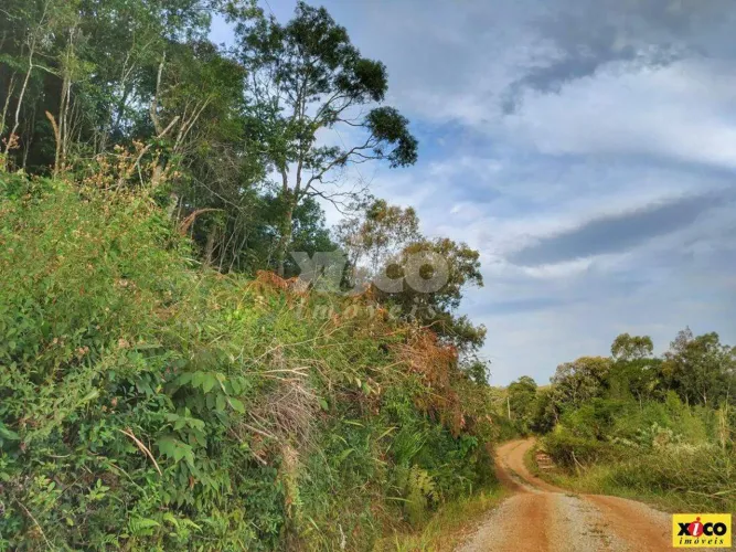 SÍTIO / CHÁCARA PARA VENDA EM NOVA PETRÓPOLIS / RS NO BAIRRO LINHA OLINDA