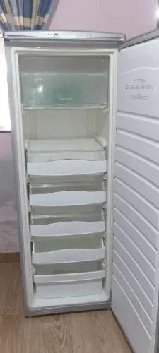Vendo freezer vertical valor 1.000 reais 110 VTs 
