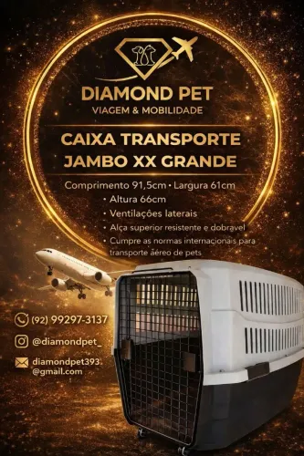 Caixa de transporte N°06