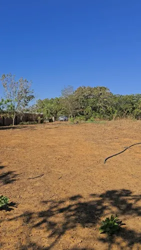 Lote 3600m² TO 010 Saida para Aparecida. Km 05 Pertinho.