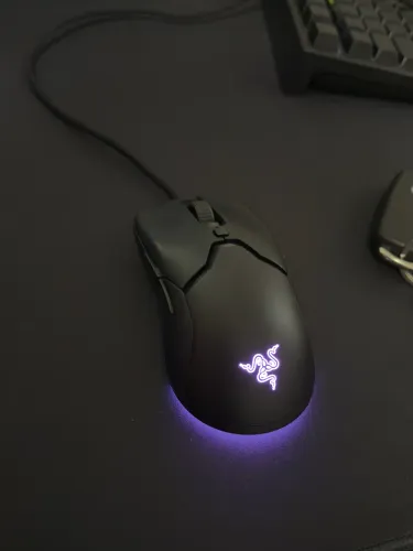 Kit Gamer - Razer Viper Mini e HyperX Alloy Core