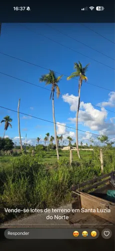 Terrenos em Santa Luzia do Norte  Fazenda Santa Rita