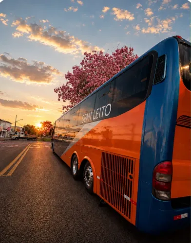 Ônibus para viagens 