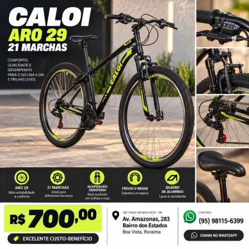 Bicicleta Caloi Aro 29 21 Marchas