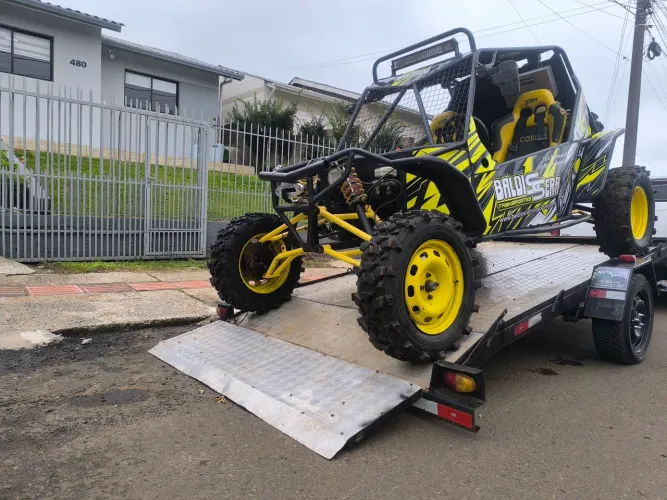 Gaiola tatú motor AP