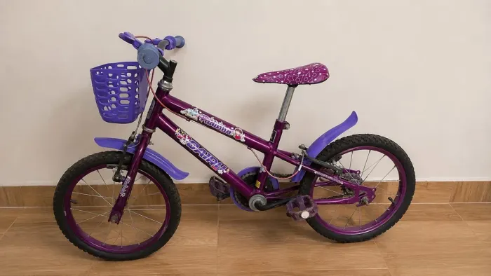 Vendo essa bicicleta