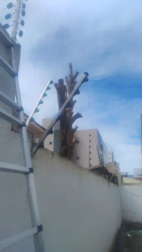 Cerca Elétrica Promocional
