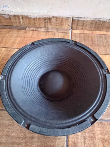 Auto falante, 12 polegadas com bobina reforcada 8 ohms