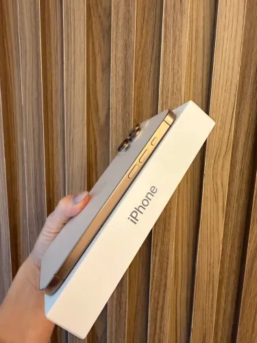 iPhone 16 Pro Max 256 Titânio Deserto 