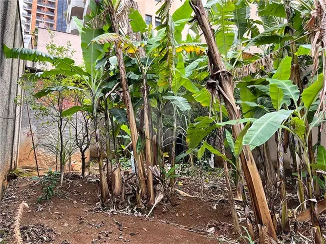 Terreno à venda em Santana - SP