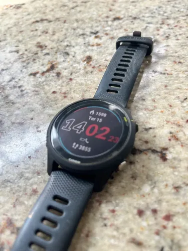 Garmin 255 music