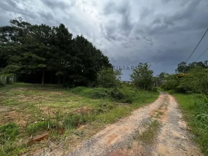 Excelente oportunidade! Lote na Fazendinha com 1.420 m² de terreno plano e livre de árvore