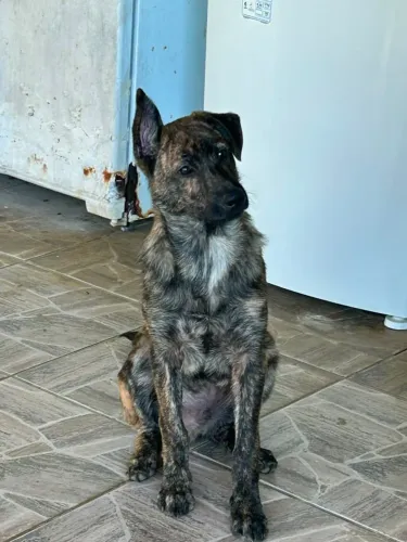 Doação