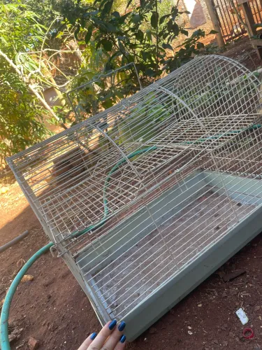 Gaiola hamster twister rato roedores ave calopsita passaro
