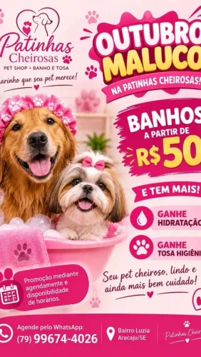 Banho e tosa0