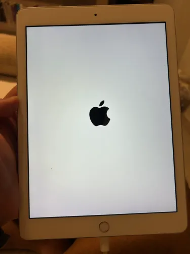 iPad 5 (pouco usado)