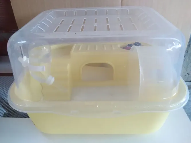 Casinha Para Hamster