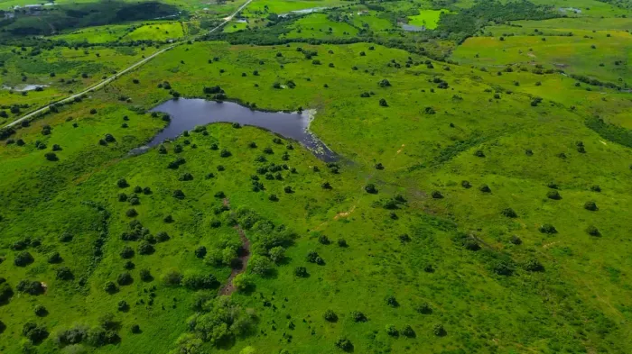 Vendo Fazenda de 150 hectares às margens da pista e com açude gigante | Documentação regul