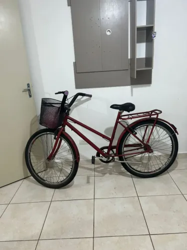 Bicicleta com cestinho