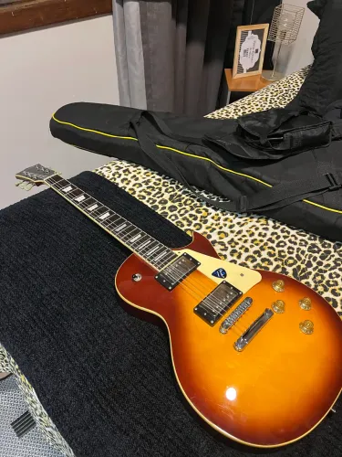 Michael les paul Modificada