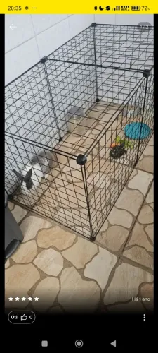 Casa para animais como Coelho porquinho da índia