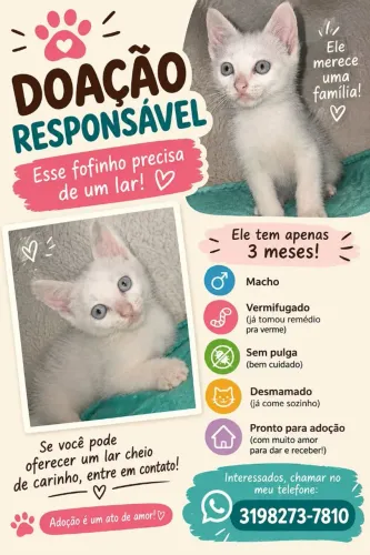 Adoção