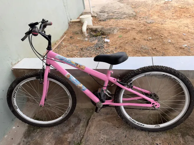 Bicicleta Infantil Moana Aro 24 - Com Aros Vzan Aero (Reforçada)