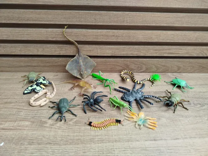 Kit de Miniaturas Insetos Colecionáveis 
