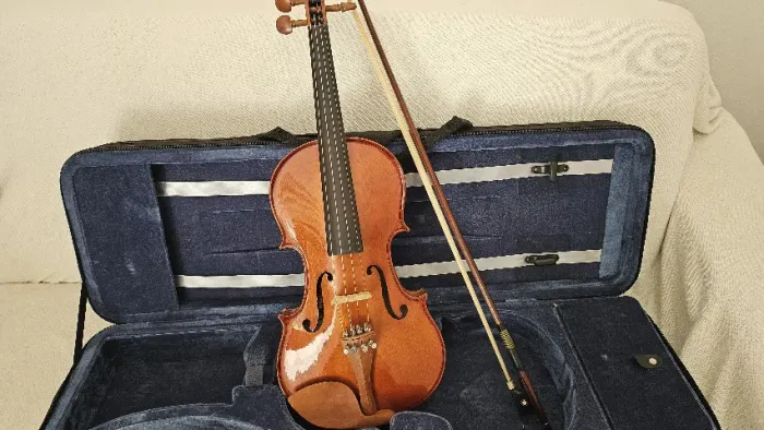Violino Eagle VE441 4/4 seminovo com estojo e arco