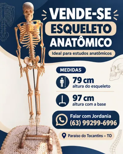 Vendo esqueleto anatômico