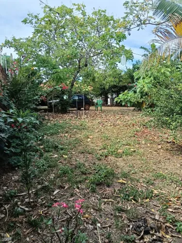 Lote Murado no Centro de Palmas