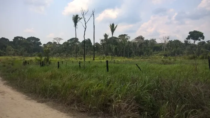 Lote/Terreno na Gleba Alto Crato - Zona Rural de Humaitá/AM