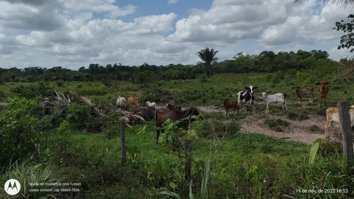 200 Hectares pronta e documentada sentido Capanema