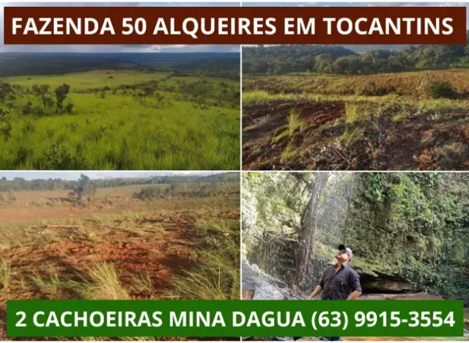 Fazenda 50 aqueires em tocantins,Agua, Rio, Corgo, Lago, Represa, Casa, Gado, Boi, Vaca