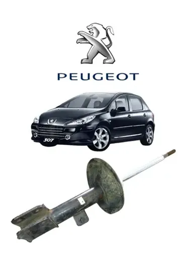 Amortecedor Dianteiro Esquerdo Peugeot 307 07/12