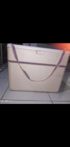 Caixa térmica com alça 15L