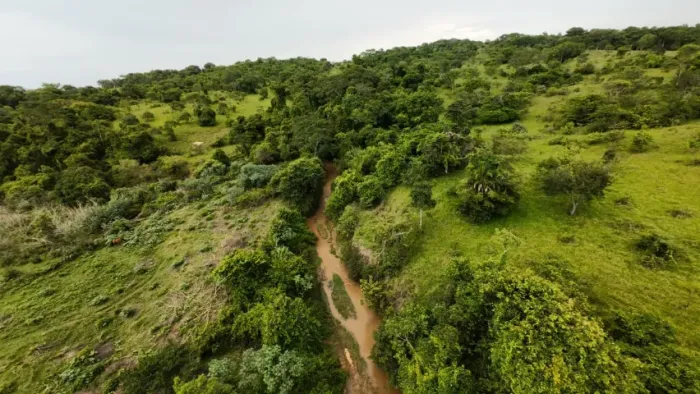 Fazenda à Venda - Oportunidade Rara!