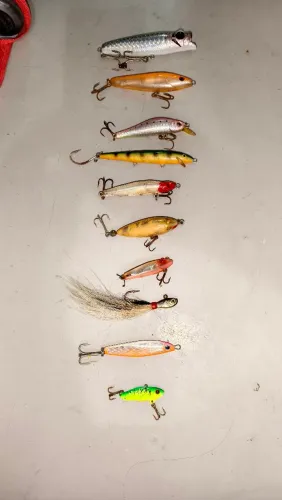 Iscas Artificiais Diversas para Pesca Esportiva
