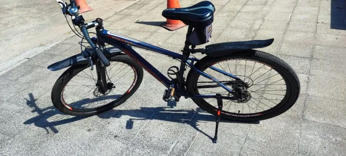 Bicicleta Schwinn Eagle MTB Aro 29