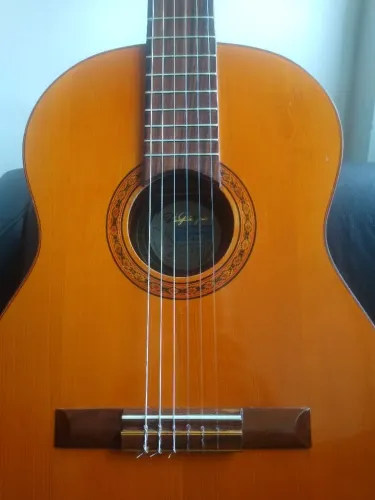 Vendo Violão DiGiorgio 28 - ano 1991