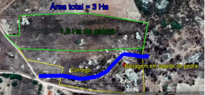 Sitio Olivedos PB 3 Ha (30.000m2)
