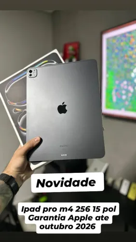 Ipad pro m4 256 gb impecável