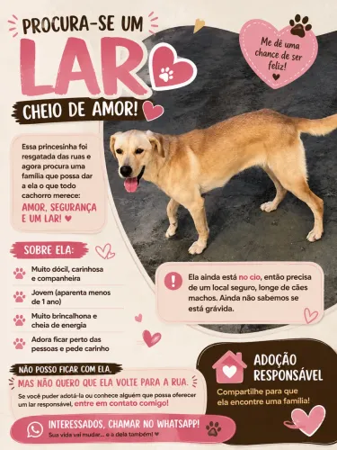 Cachorro 
