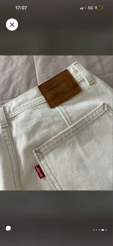 Saia Levis 