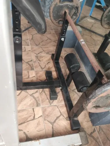Musculação, anilhas e rosca Scott 