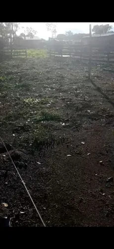 Terreno zona norte