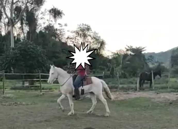 Cavalo manso olhos azuis!