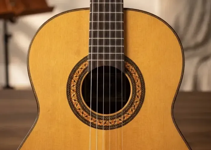 Violão Giannini AwnC2 Sor 1979 Original Impecável Jacarandá